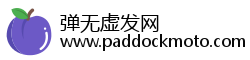 弹无虚发网 弹无虚发网